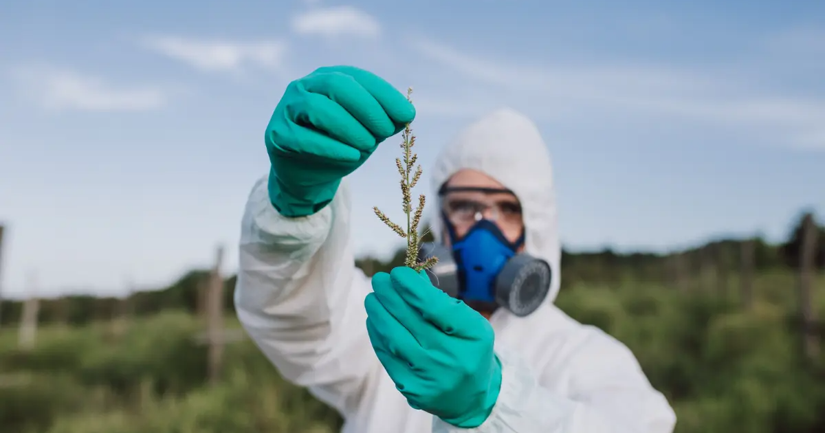 Gdzie szukać dobrej wiedzy na temat zwalczania chwastów? Praktyczny przewodnik dla każdego ogrodnika